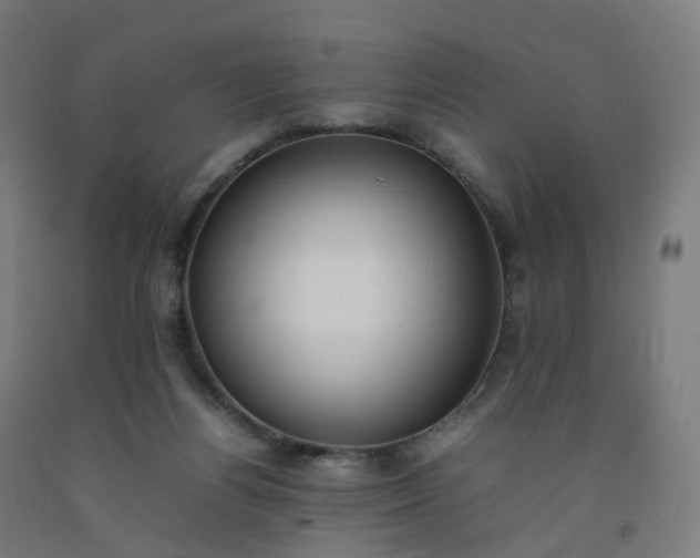 X0000092250164200709281151