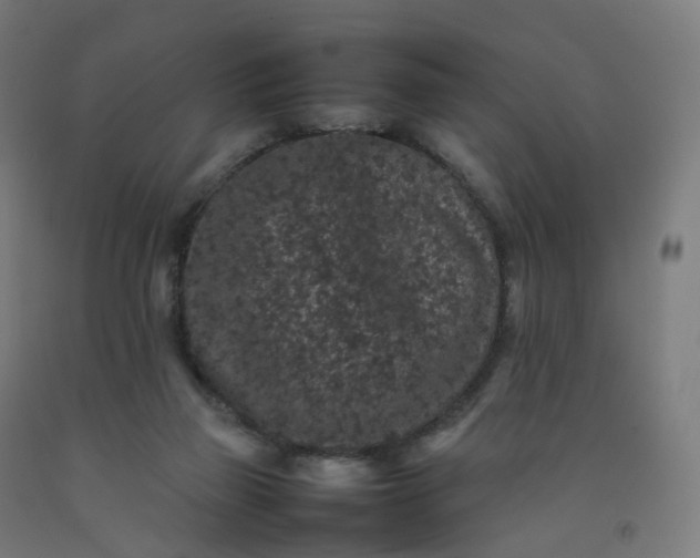 X0000092250165200709281151