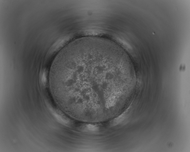 X0000092250166200709281151