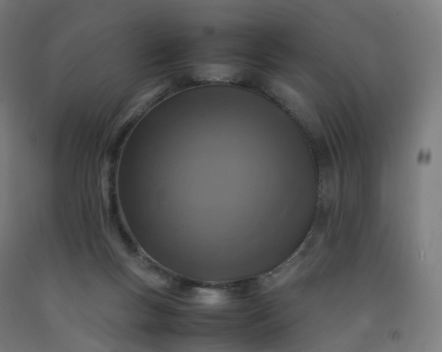 X0000092250167200709281151