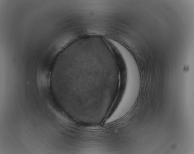 X0000092250168200709281151