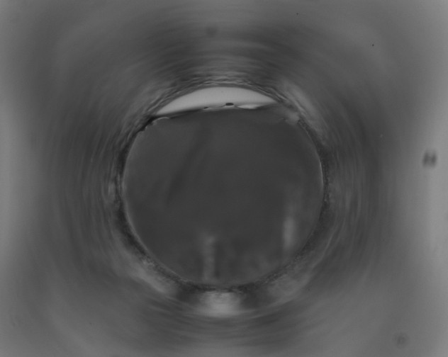 X0000092250169200709281151