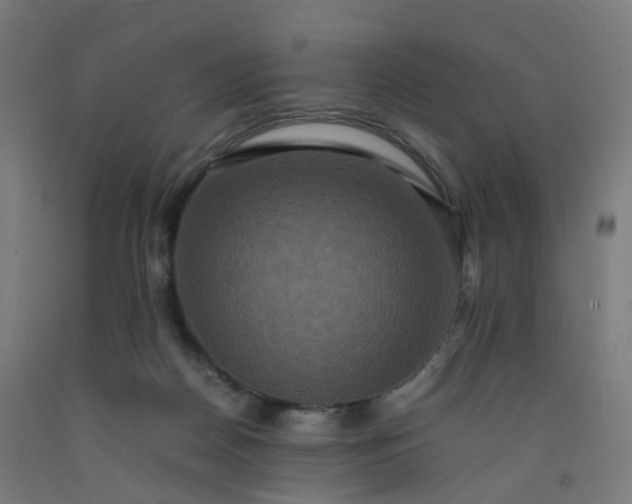 X0000092250170200709281151