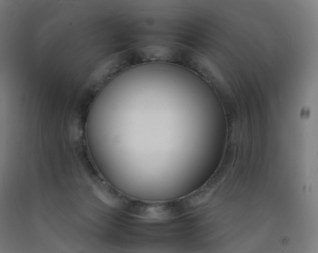 X0000092250173200709281151