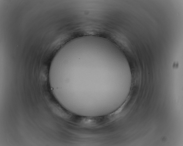 X0000092250174200709281151