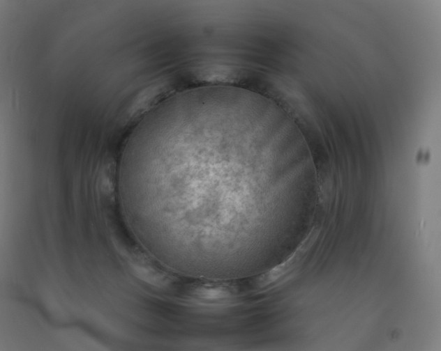 X0000092250175200709281151