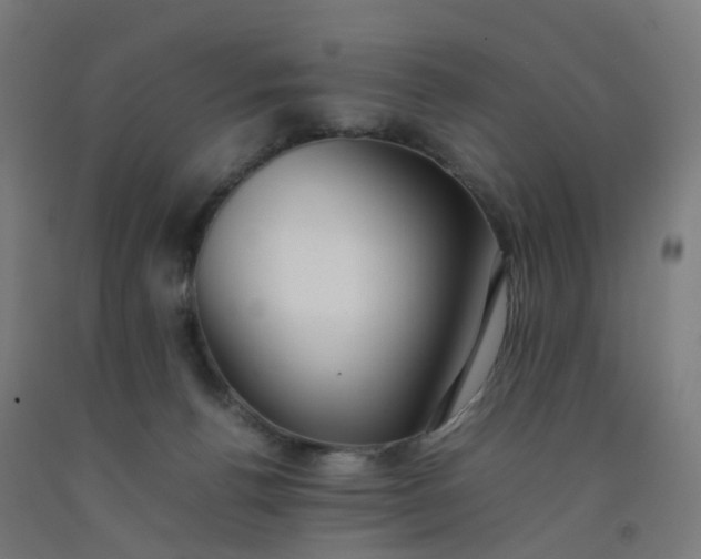 X0000092250176200709281151