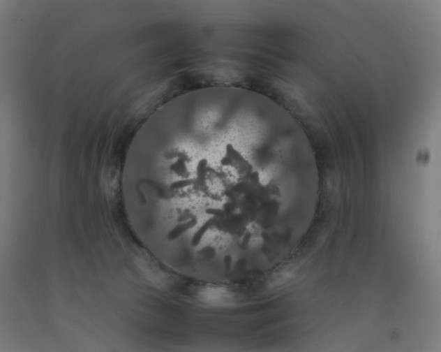 X0000092250177200709281151