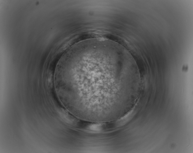 X0000092250178200709281151