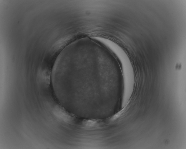 X0000092250180200709281151