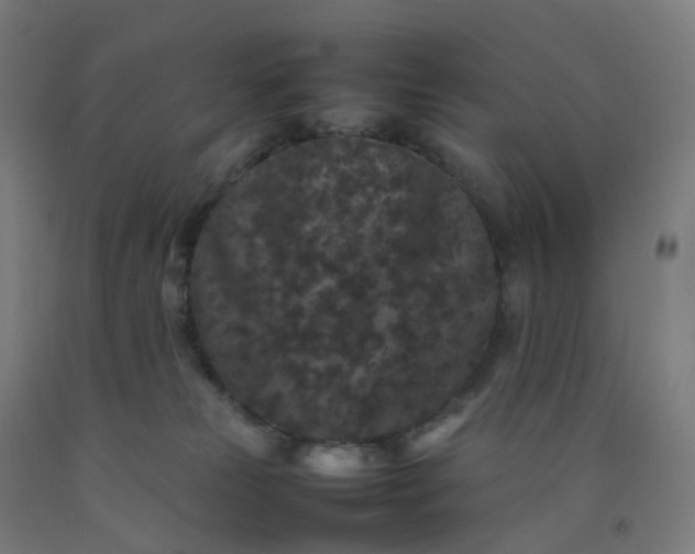 X0000092250181200709281151