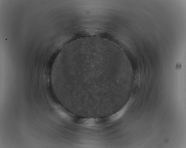 X0000092250182200709281151