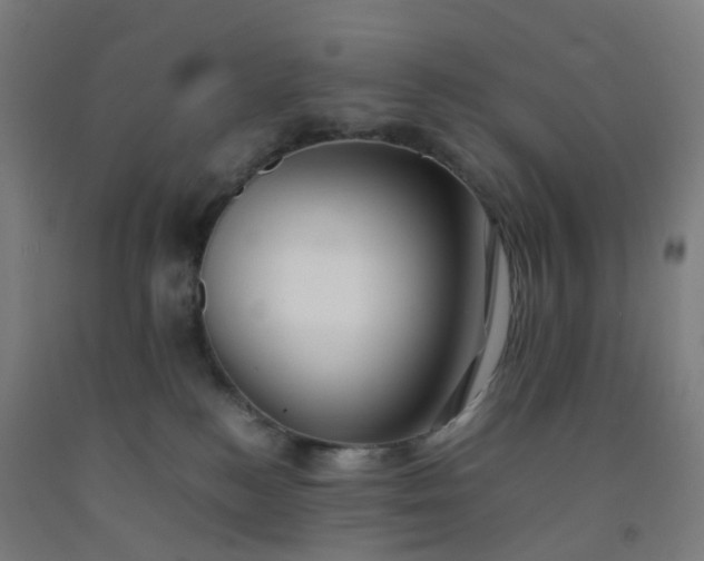 X0000092250184200709281151