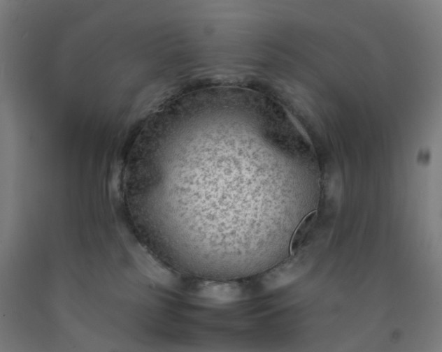 X0000092250185200709281151