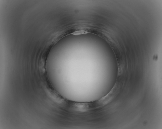 X0000092250187200709281151