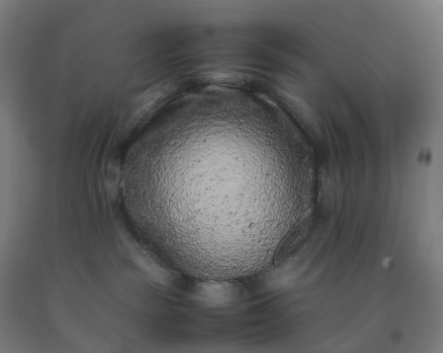 X0000092250189200709281151