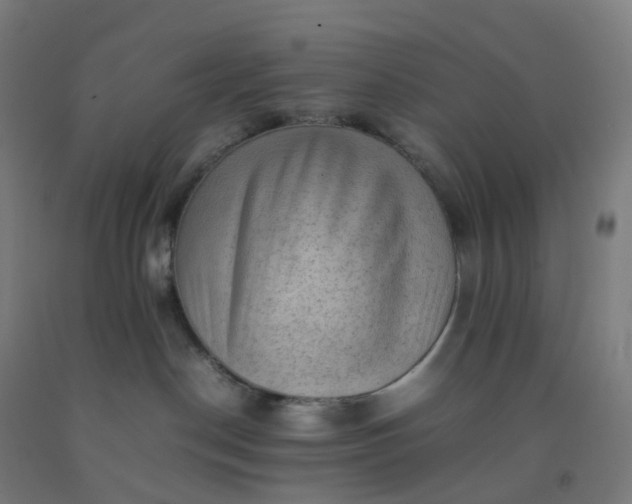 X0000092250190200709281151