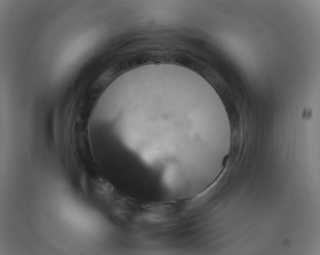 X0000092250191200709281151