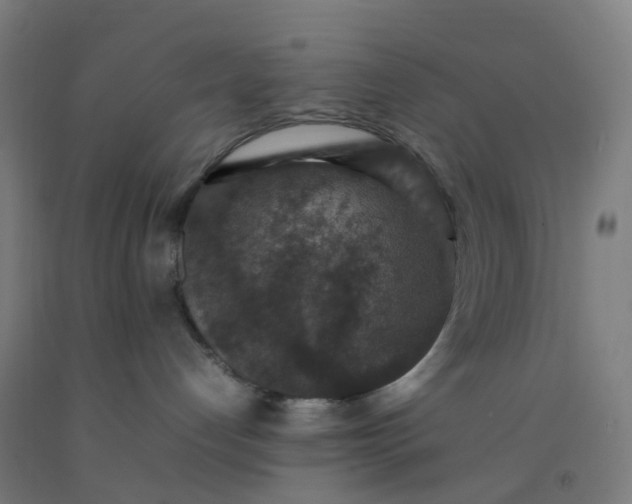 X0000092250192200709281151