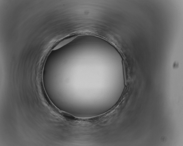 X0000092250193200709281151