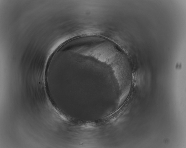 X0000092250196200709281150