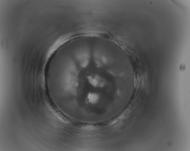 X0000092250198200709281150