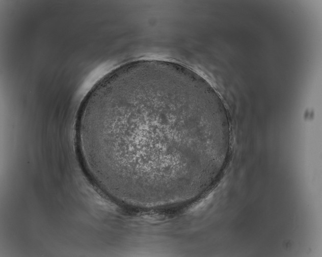 X0000092250199200709281150