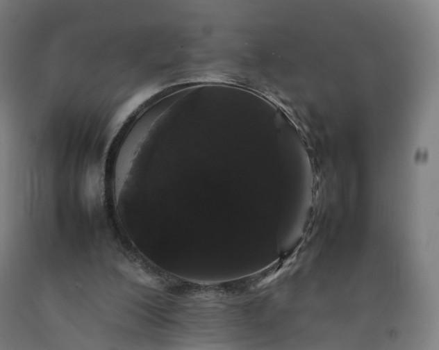 X0000092250200200709281150