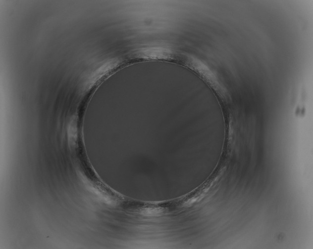 X0000092250202200709281150