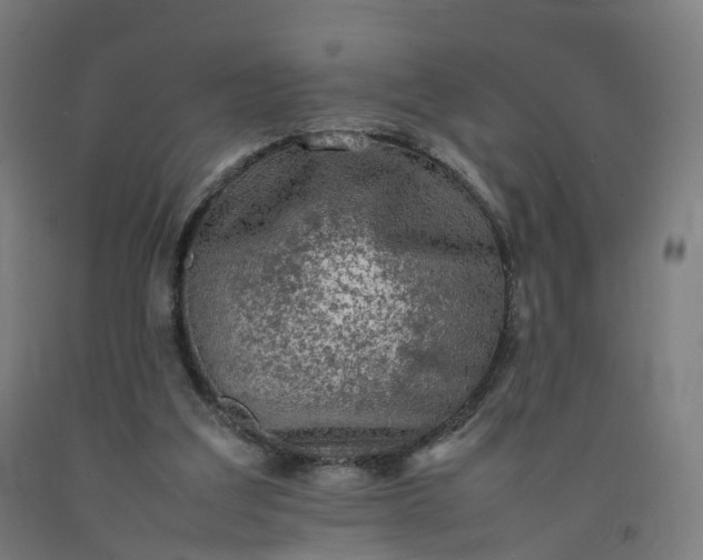 X0000092250203200709281150