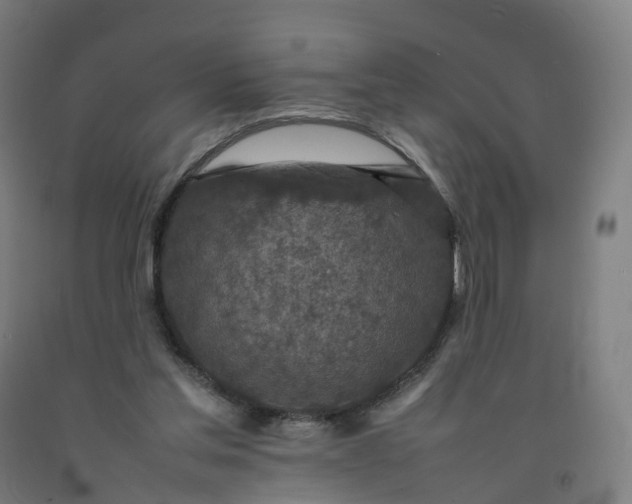 X0000092250205200709281150