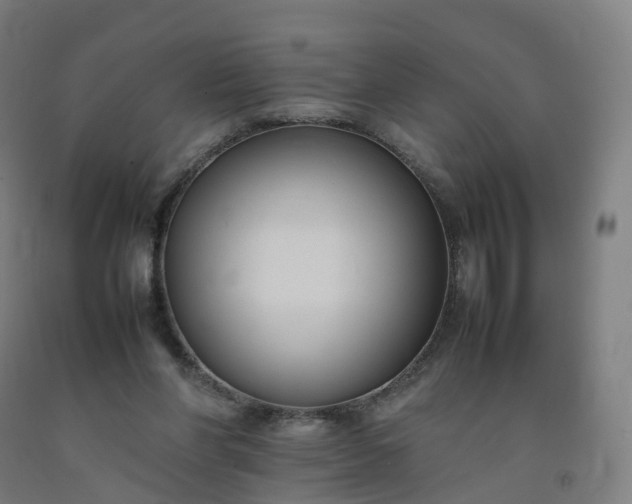 X0000092250206200709281150