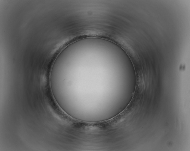 X0000092250208200709281150