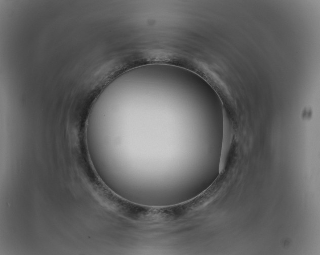 X0000092250209200709281150