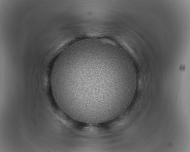 X0000092250211200709281150