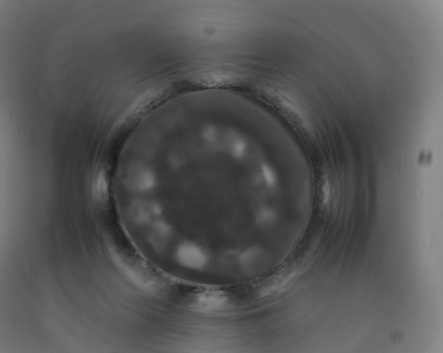 X0000092250214200709281150