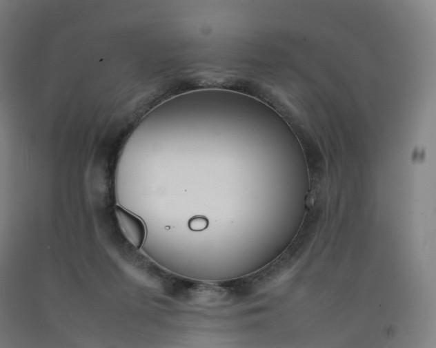 X0000092250215200709281150