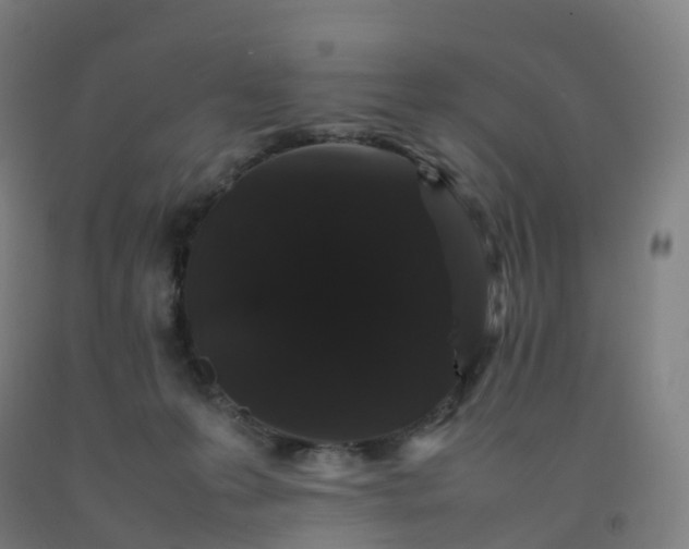 X0000092250223200709281150