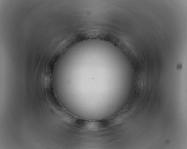 X0000092250226200709281150