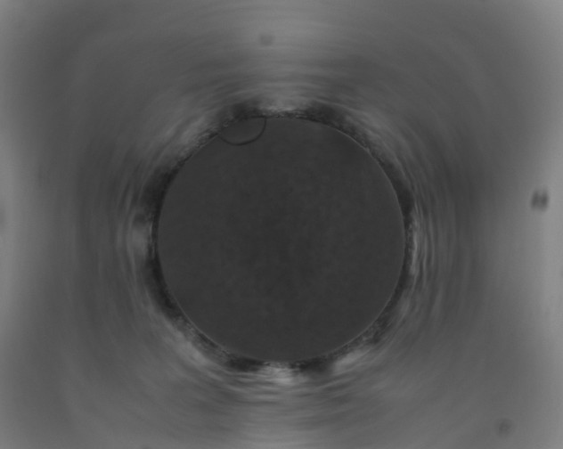 X0000092250227200709281150