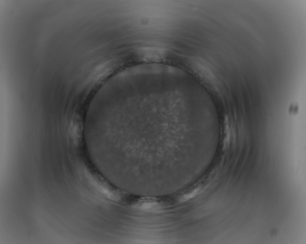 X0000092250228200709281150