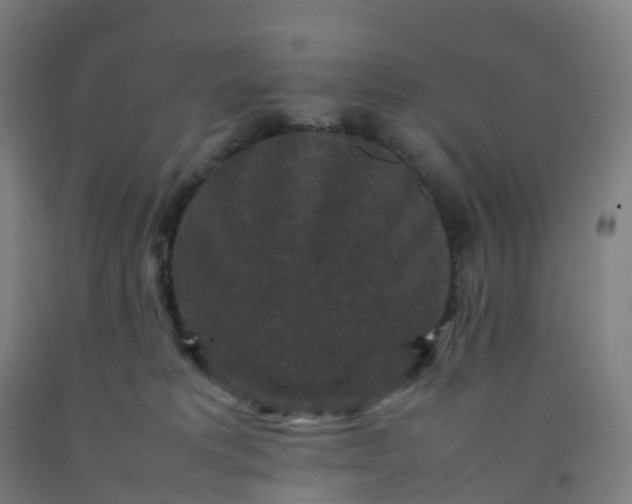 X0000092250229200709281150