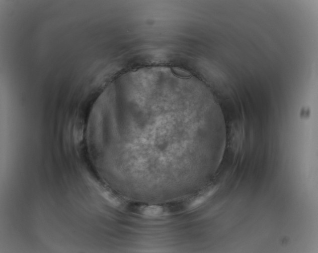 X0000092250230200709281150