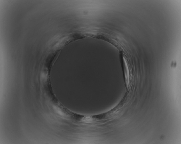 X0000092250231200709281150