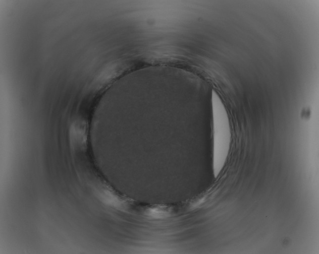 X0000092250232200709281150