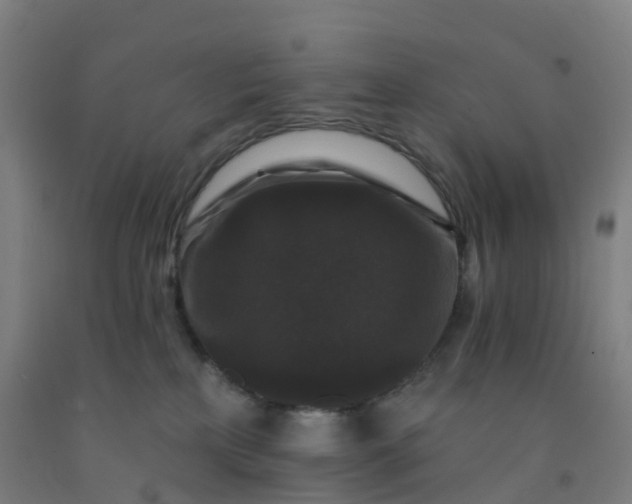 X0000092250233200709281150