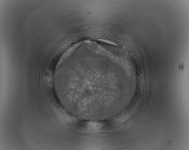 X0000092250234200709281150