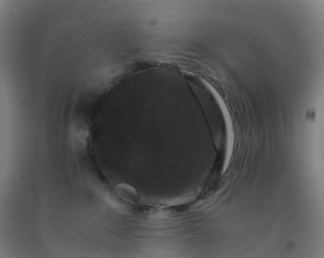 X0000092250235200709281150