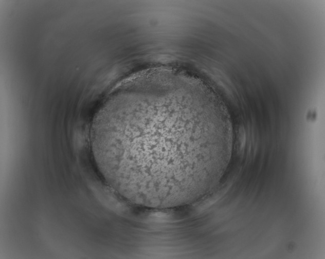 X0000092250236200709281150