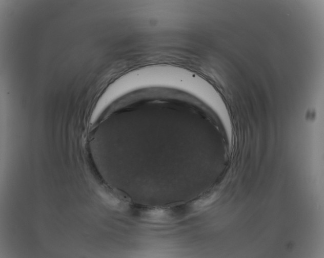 X0000092250237200709281150